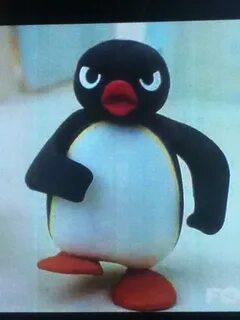 5SOSTumblrx Twitterissä: "Angry pingu reminds me of Calum ID