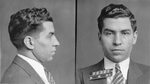 File:Lucky Luciano mugshot 1931.jpg - Wikipedia Republished 