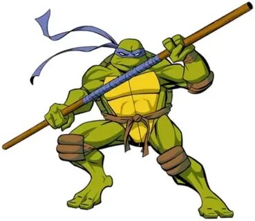 Donatello (Teenage Mutant Ninja Turtles, 2003) - Incredible 