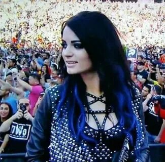 Pin by MELISSA A. KLEIN on PAIGE! Wwe divas paige, Paige wwe