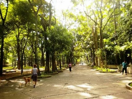 Inseguridad azota a visitantes y corredores en el Parque Los