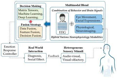 Brain Sciences Free Full-Text Advances in Multimodal Emotion Recognition Based o