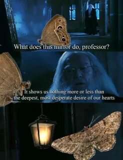These Weird AF Moth Memes Are Completely Taking Over Reddit 