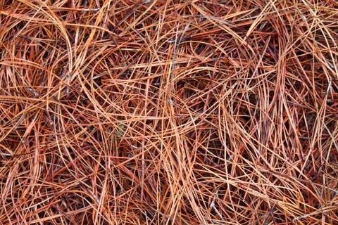 Long Needle Pine Straw For Sale in Alpharetta, GA - Delivery