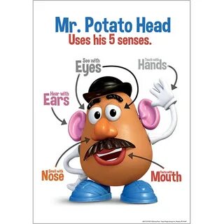 Mr Potato Head 5 Senses 13X19 Posters - EU-837121 Eureka