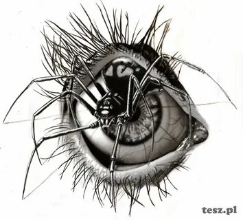 Under the eyelid Eyeball art, Creepy eyes, Spider art