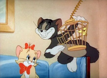 Tom & Jerry Pictures: "Puss N' Toots