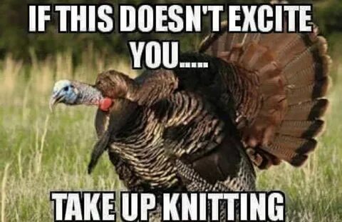 Exactly Hunting humor, Turkey hunting, Hunting memes
