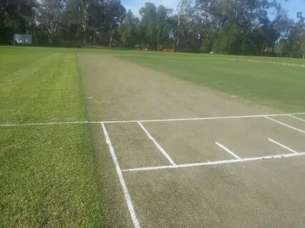 Free photo: Cricket Pitch - Bowler, Cricket, Game - Free Dow