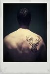30 idee su Deer Tattoo tatuaggio cervo, idee per tatuaggi, c