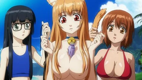 Anime or manga with harem endings.