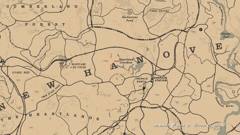 Red Dead 2 Bison Location All in one Photos