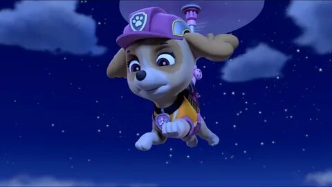 Skye - Skye and Chase - PAW Patrol litrato (42903372) - Fanp