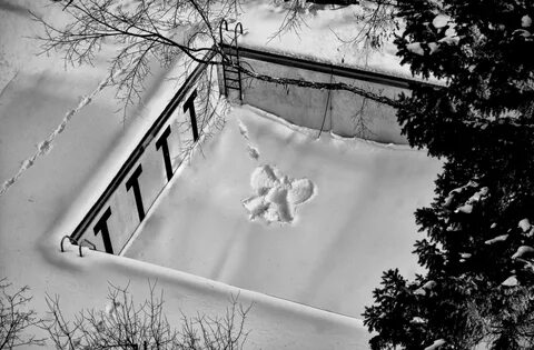 snow angel Snow art, Snow angels, Communication art