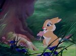 Miss Bunny, personnage dans "Bambi". * Disney-Planet