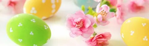 Скачать обои цветы, яйца, пасха, flowers, Easter, eggs, deli