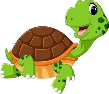 Premium Vector Cute turtle cartoon