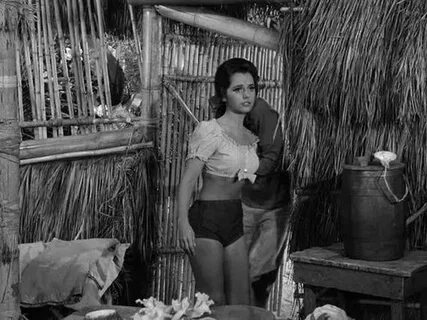 Dawn Wells Hot Photos - Barnorama