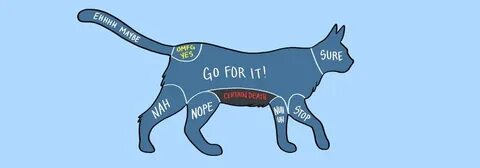 Cats: Dog chart, Pets, Pets cats