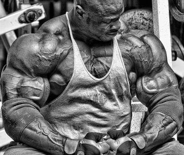 Ronnie Coleman Workout Plan Exercise.com