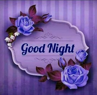 Good Night Images Top Good Night Greeting Image Good night f
