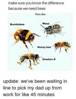 Search Bee Wasp Memes On Me.me C13