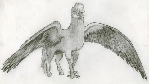 Buckbeak Drawing