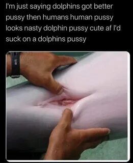 CMV: Dolphin pussy feels better than human pussy PurplePillD