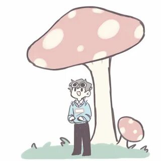 bri my beloved :) on Twitter: "Mushroom boy!