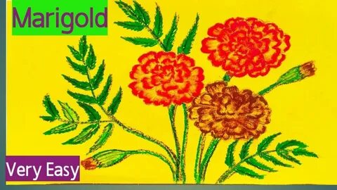 How to draw a simple marigold flower step by step easy, Kais