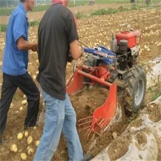 China Low Price Potato Digger Factory, Manufacturers, Suppli