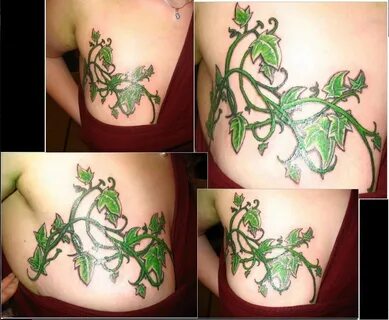 Ivy Vine Tattoo - Tattoos Concept