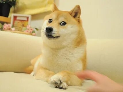 Hdogee