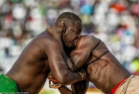 Wrestlers in Senegal go fist-to-head in country's fighting s