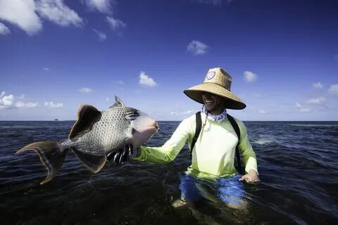 Seychelles; Alphonse Island fishing News 14 - 21 November 20