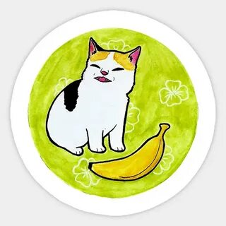 Cat No Banana by Ann Leimbach