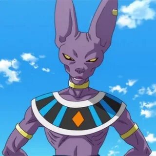 Beerus Dragonball next future Wikia Fandom