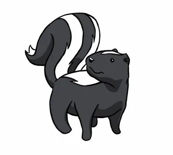 How To Draw A Skunk Video