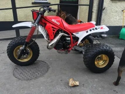 yamaha tri z 250 3 wheeler for sale for Sale OFF-58