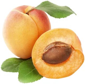 Abricot