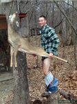 Man Fucks A Deer - Porn photo galleries and sex pics