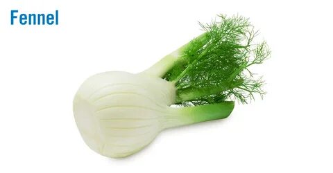 Flavor of the Week: Versatile fennel brings freshness to dis