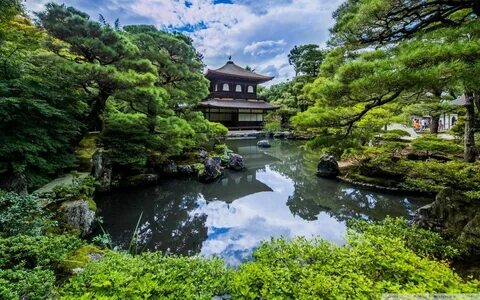 Japanese Garden Design, Chinese Garden, Japanese House, Japanese Gardens,.....