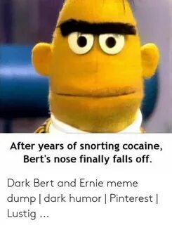 Bert And Ernie Memes DCE