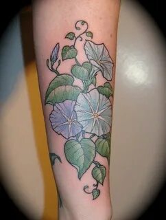 morning glory drawing - Google Search Blue flower tattoos, F