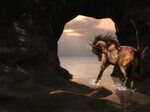 #782632 Horses, Cave - Rare Gallery HD Wallpapers