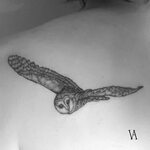 Little Tattoos Barn owl tattoo, Tattoos for guys, Flying tat