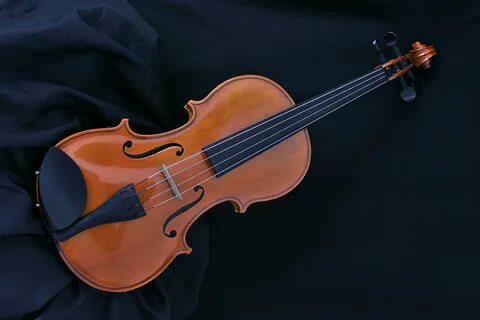 Free Images : musical instrument, string instrument, violin 