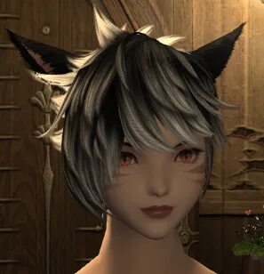 Ffxiv Saintly Style Hairstyle / Apart from completing main s