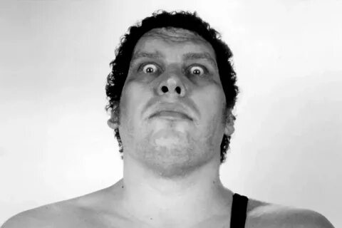 Andre the Giant Biopic in the Works